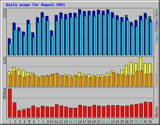 Daily usage for August 2021