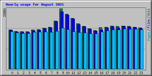 Hourly usage for August 2021