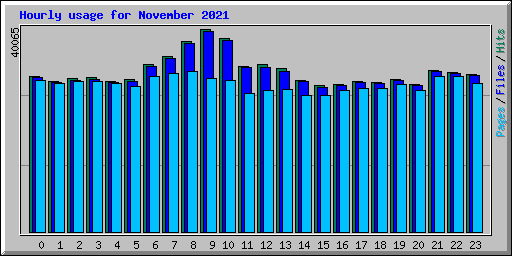 Hourly usage for November 2021