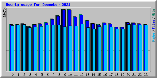 Hourly usage for December 2021
