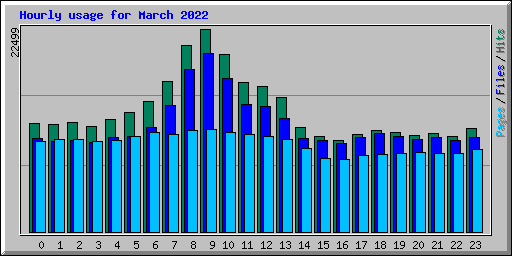 Hourly usage for March 2022